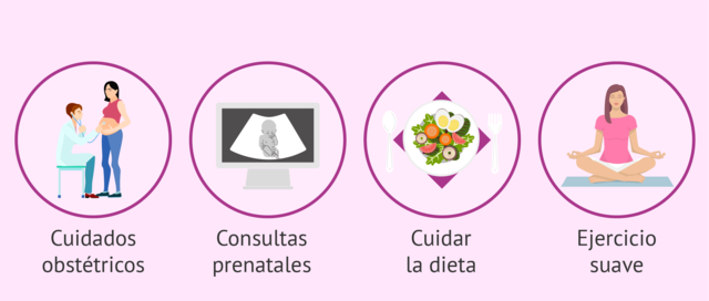 CUIDADOS DURANTE EL DESARROLLO PRENATAL