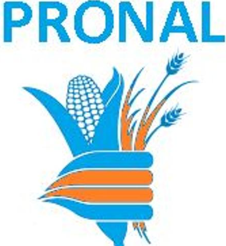Creación de PRONAL y Pacto Solidaridad Económica