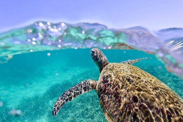 I Conferencia sobre Los Océanos