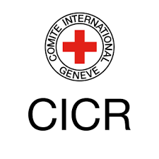 La fundación de la Cruz Roja internacional
