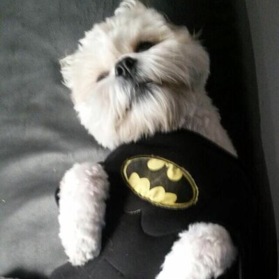 Timeline: MY BEST FRIEND