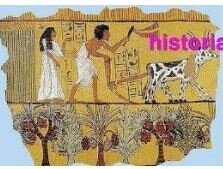 Historia de los conceptos de causa y enfermedad: paralelismo entre la Medicina y la Fitopatología