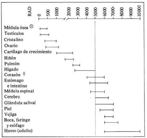 5.Efectos biológicos de la radiación