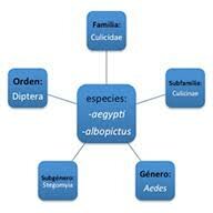TAXONOMÍA DE LAS ENFERMEDADES. Augustin Grisolle. venenos sépticos.