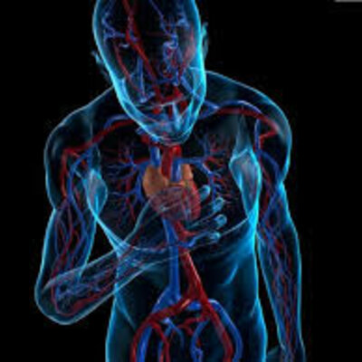 Timeline: Historia de la Patología