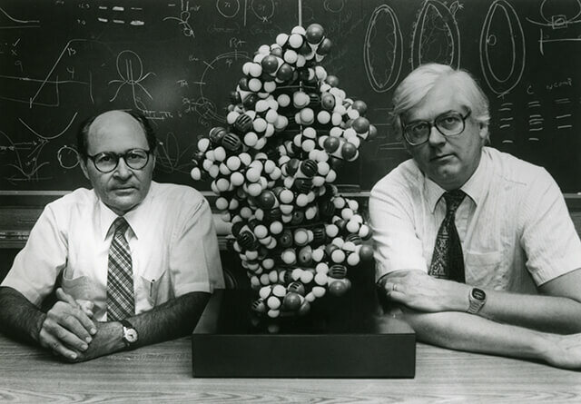 Son Descubiertas las Enzimas de Restricción.