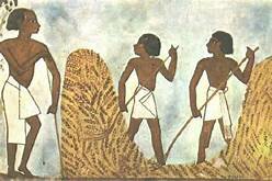 Civilizaciones Antiguas