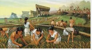 Revolución Agrícola o Neolítica