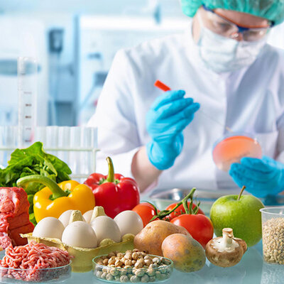 Timeline: Cambios tecnológicos y sociales de la industria alimentaria de los Estados Unidos de América