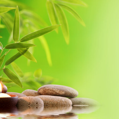 Timeline: TERAPIAS NATURALES