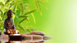 Timeline: TERAPIAS NATURALES