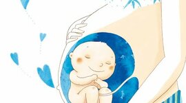 Timeline: Desarrollo Prenatal