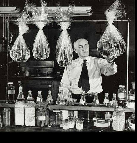 Primer Mitad del Siglo XX