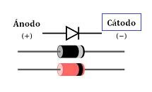 Los elementos principales del tubo de rayos x