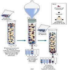 Segunda mitad del Siglo XX