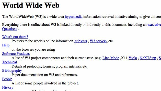 The World Wide Net Proyect