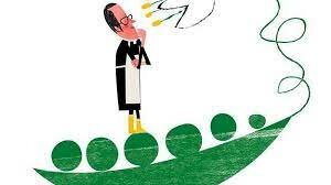 BIOETICA EN EL MUNDO