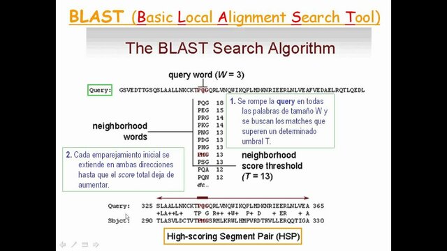 Se Implementa el Algoritmo BLAST (Basic Local Alignment Tool)