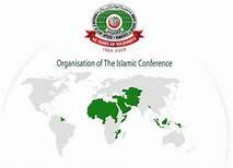 La Declaración del Cairo sobre los Derechos Humanos en el Islam