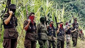 Los Movimientos Guerrilleros