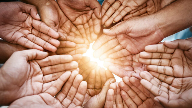 Hall: Investigación sobre valores humanos.