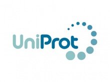 Se Crea la Base de Datos Conocida Como UniProt.