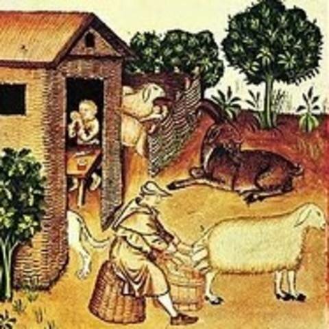 LAS REFORMAS DE LOS TRABAJOS Y LOS SALARIOS