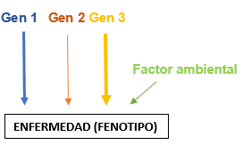 Se Completa un Ambicioso Proyecto Denominado HapMap