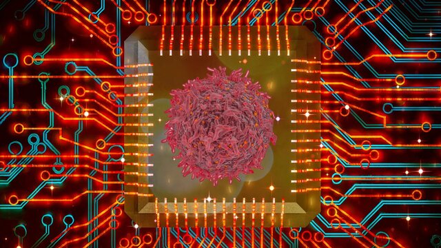 El SARS-CoV-2, las Pruebas PCR y la interación con la Bioinformática