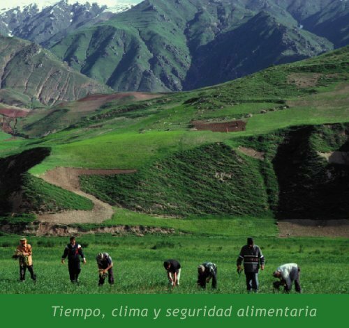 Tiempo, clima y seguridad alimentaria