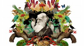 Timeline: Construcción histórica del concepto de Evolución Biológica