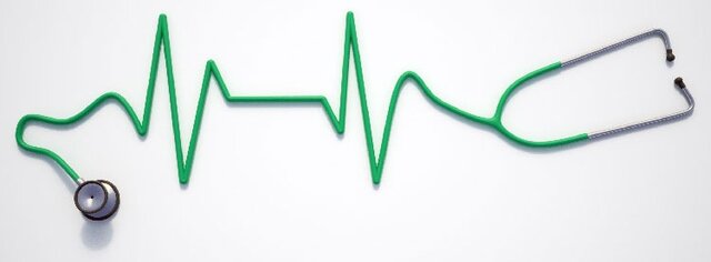 the birth of my brother