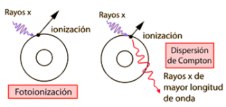 Introducción del REM