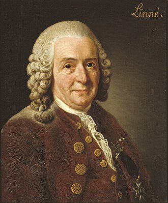 Charles Linné