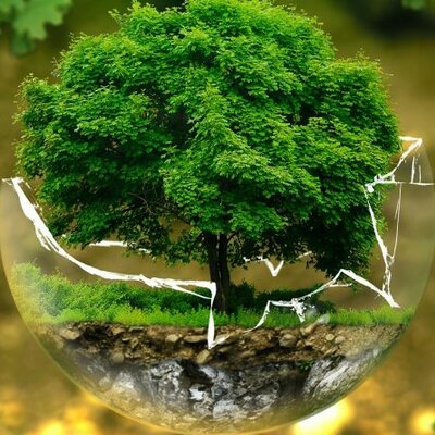 Timeline: HISTORIA DE LA EDUCACIÓN AMBIENTAL