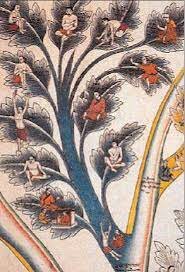 MEDICINA ADIVINATORIA