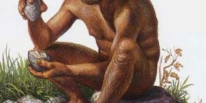 Homo erectus1.8 Ma