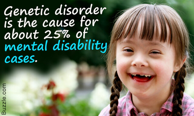 American Association on Mental Retardation (AAMR)