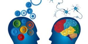 Teoría integradora de la personalidad