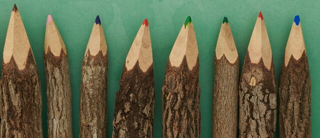 Gardners' Multiple Intelligences