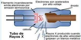 Estructura del tubo de rayos x