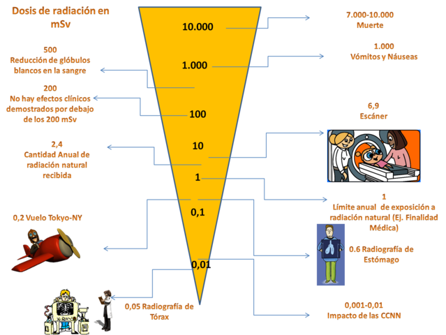 Efecto biológico de la radiación