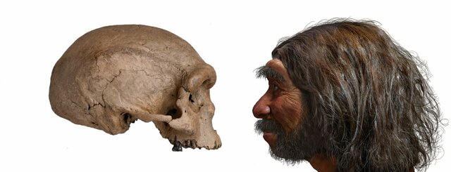 Homo sapiens  195.000 Ma