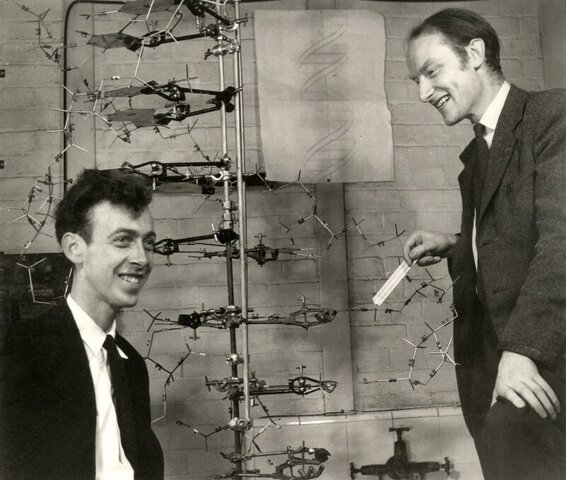 1953  Francis Harry Compton Crick y James Dewey Watson.