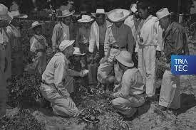 Programa de investigación agricola