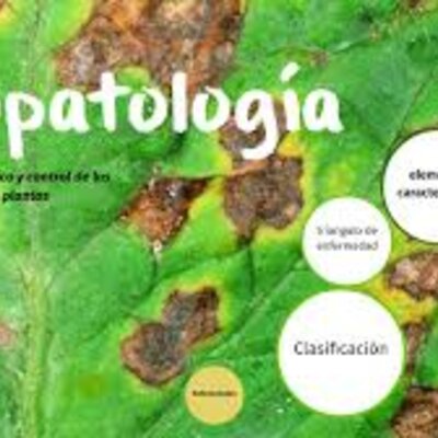 Timeline: historia de la fitopatología