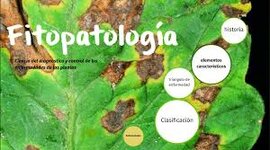 Timeline: historia de la fitopatología