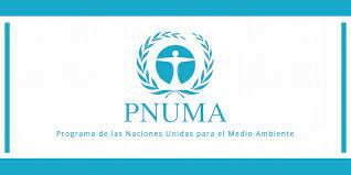 PNUMA