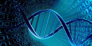 En la década de los 60 y 70 aparece la Bioinformática
