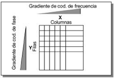 1ra. Codificacion entre la Fase y Frecuencia del RMN